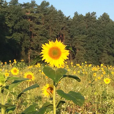 Zum Alten Haensel Maison d'hôtes Krauschwitz