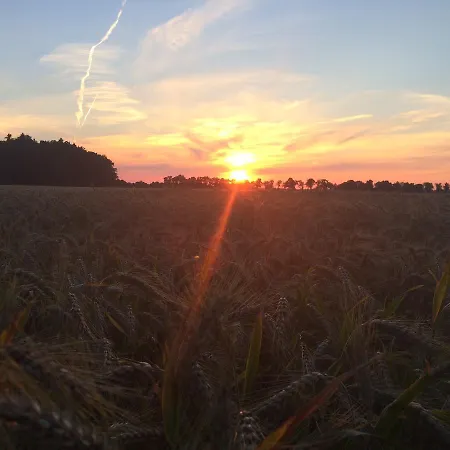 Maison d'hôtes Zum Alten Haensel 3*