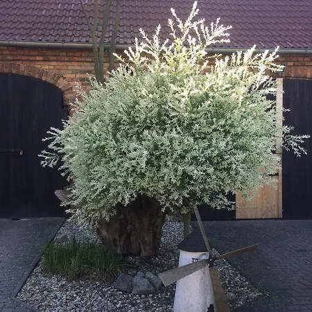 Zum Alten Haensel Maison d'hôtes